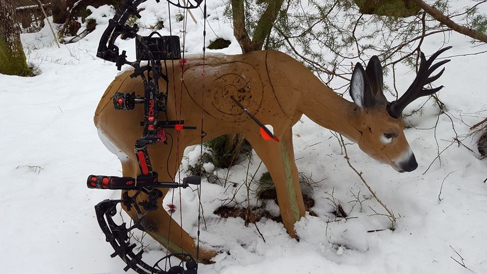 Velg riktig compoundbue!