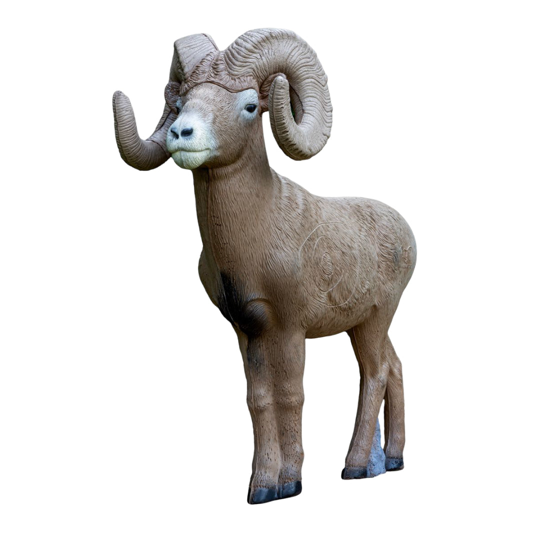 Rinehart 3D Target ½ Scale Signature Bighorn Sheep-BueBua - Din bueforhandler!