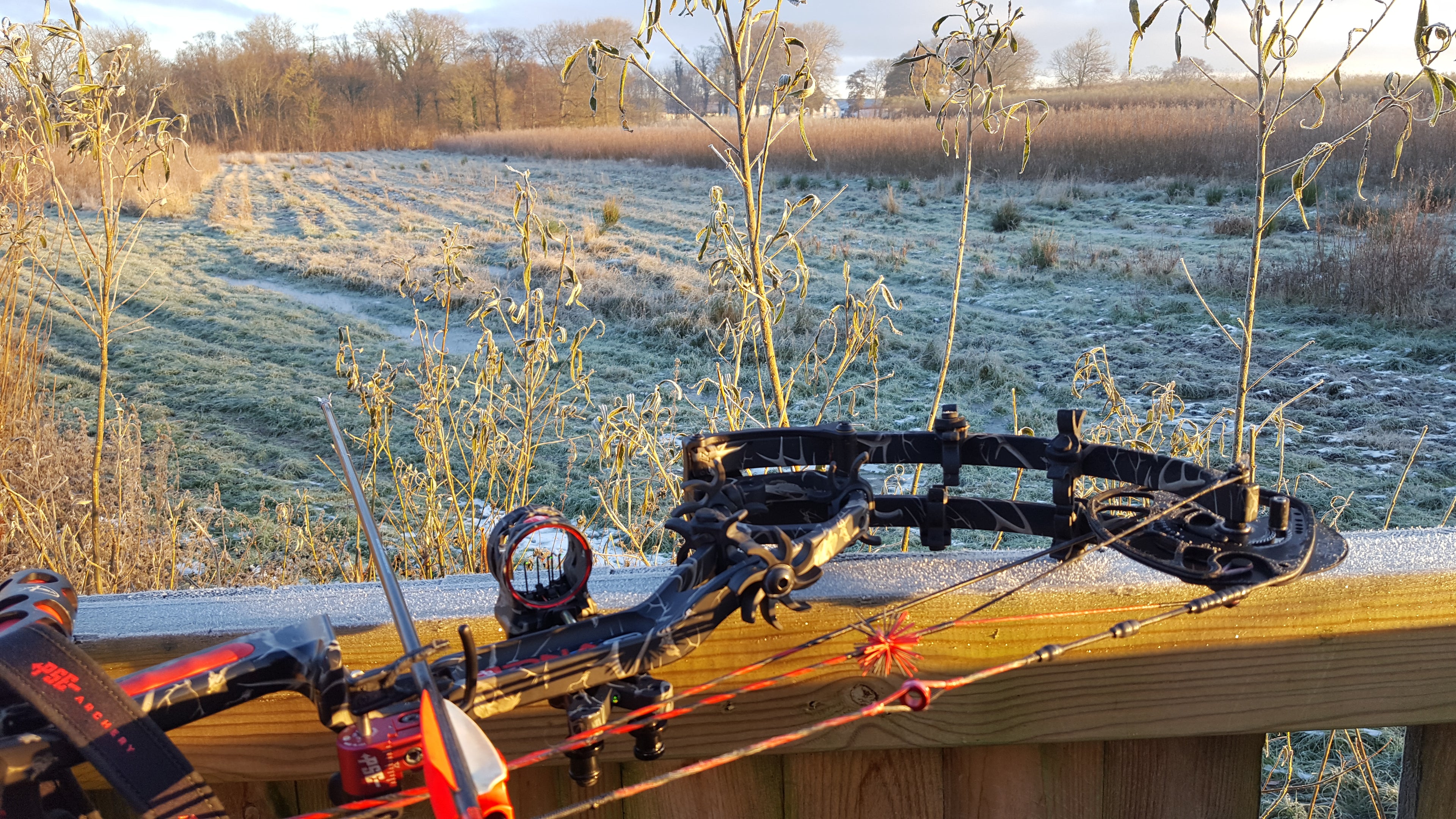 BueBua er din lokale butikk for bueutstyr. Vi hjelper deg med utstyr til bueskyting, buejakt, 3d-skyting, blinkskyting, buetuning og hjemmefiksing. Vi har også et komplett bueverksted som tar alle reparasjoner av compoundbuer.